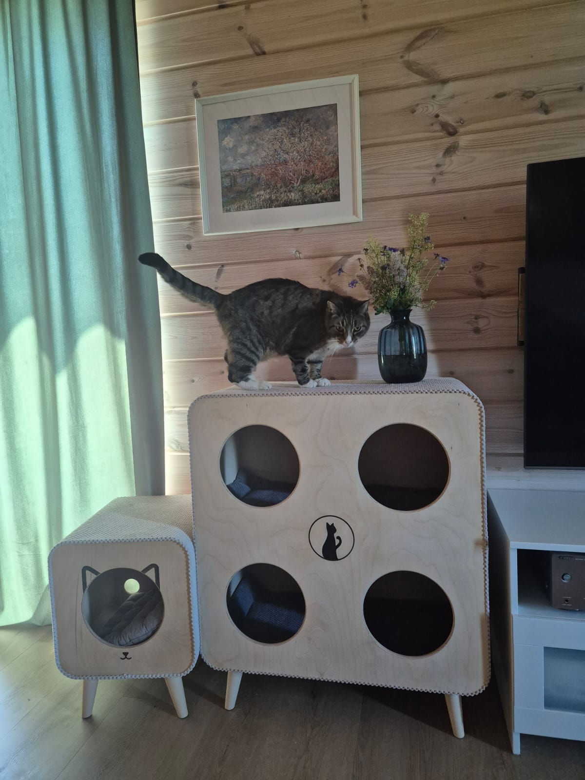 Catnook Family