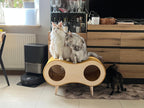 Catnook Big