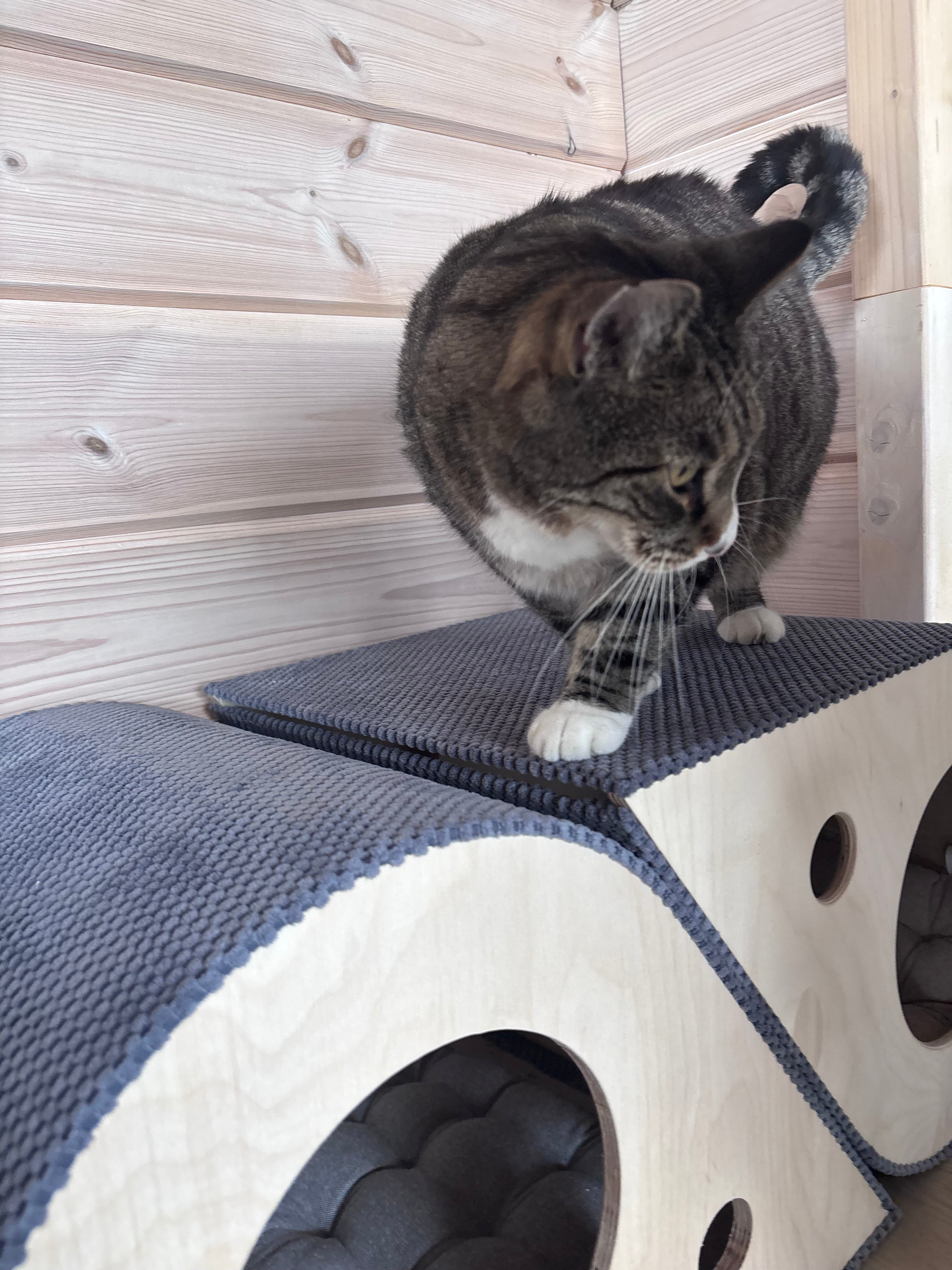 MIAUDROP - designerski domek 2w1: kryjówka + drapak. Ręcznie wykonany w Polsce ze sklejki, wykończony trwałą tkaniną drapakową.