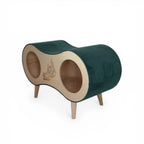 Catnook Up