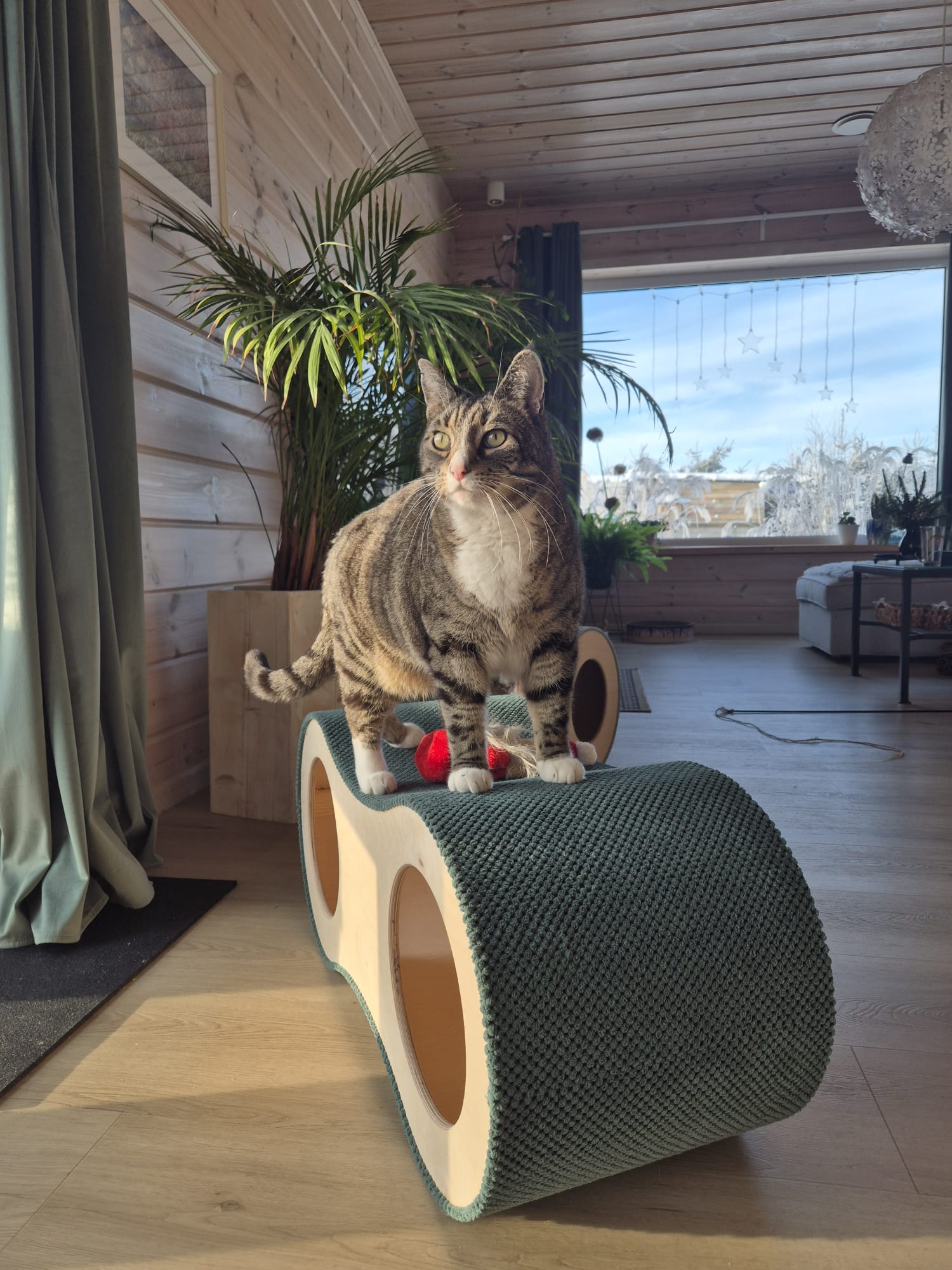 Catnook
