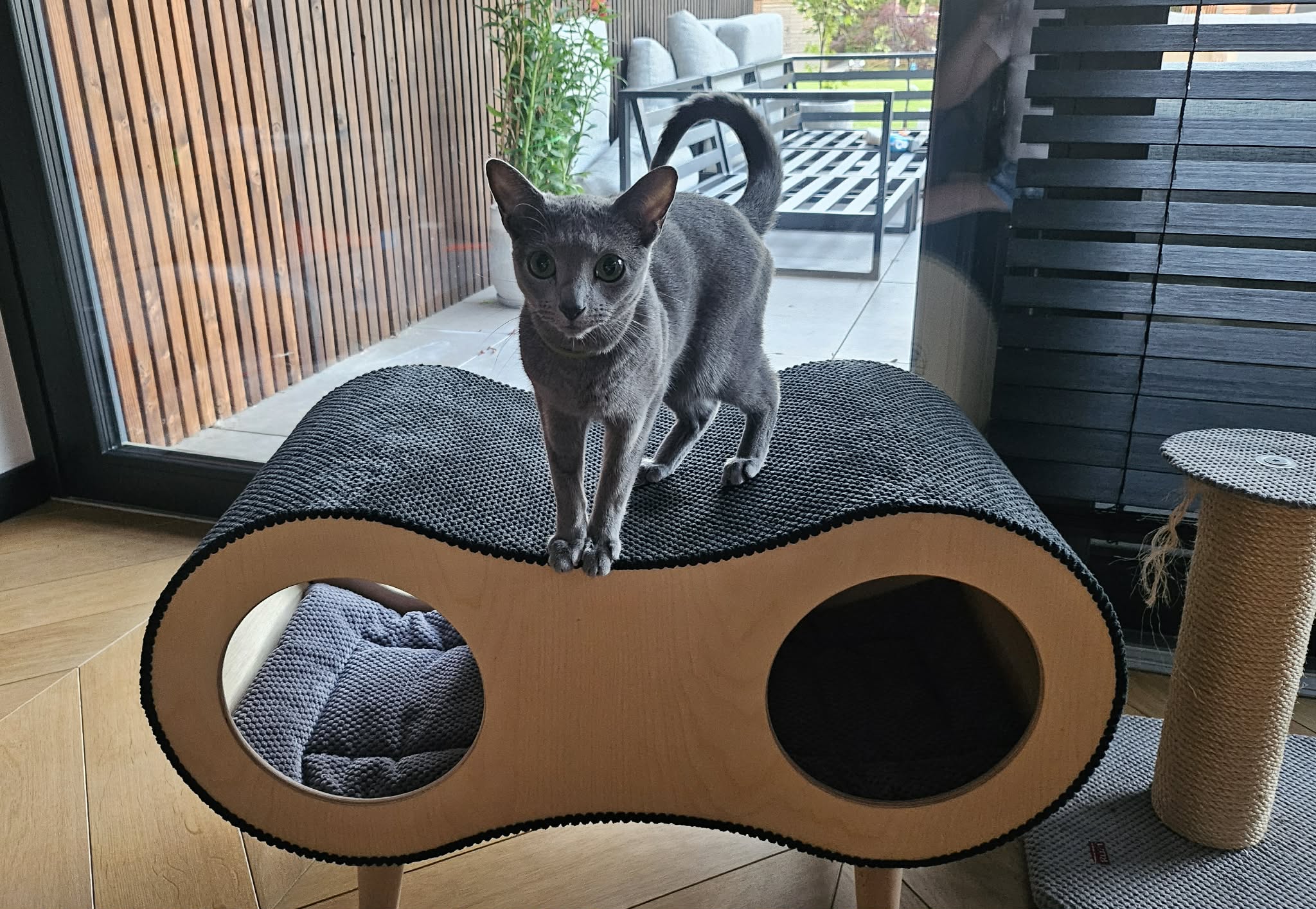 Catnook Big