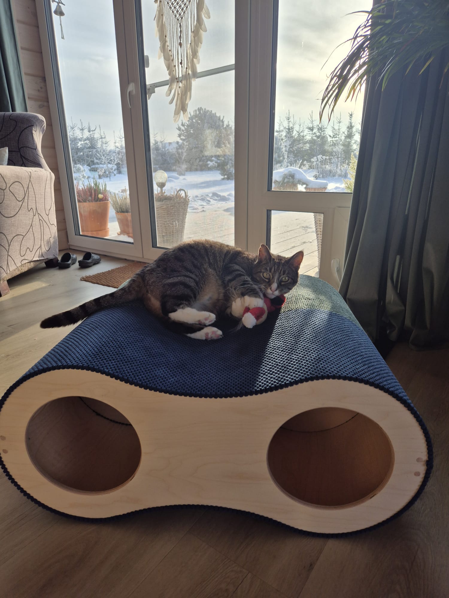 Catnook