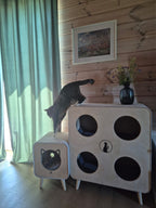 Catnook Family