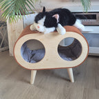 Catnook Panorama 90